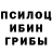 Галлюциногенные грибы MAGIC MUSHROOMS Sissters 24/7