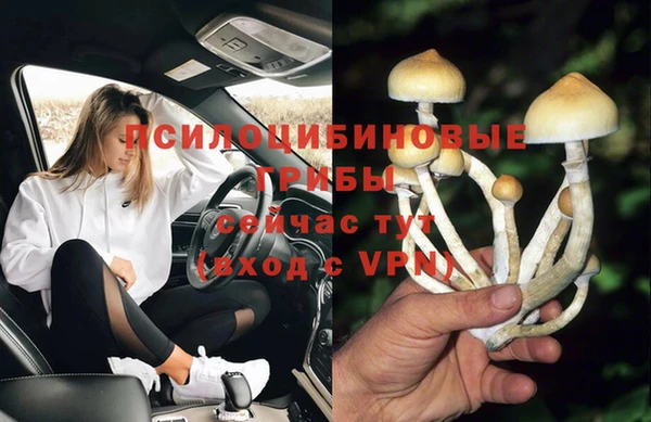 метадон Армянск
