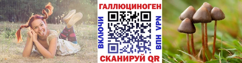 блэк спрут зеркало  Похвистнево  Галлюциногенные грибы Magic Shrooms 